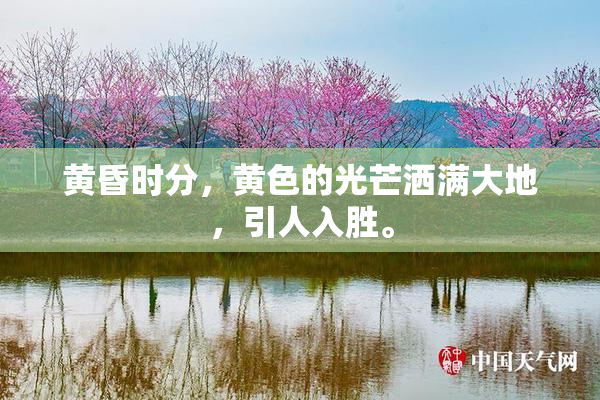 黄昏时分，黄色的光芒洒满大地，引人入胜。