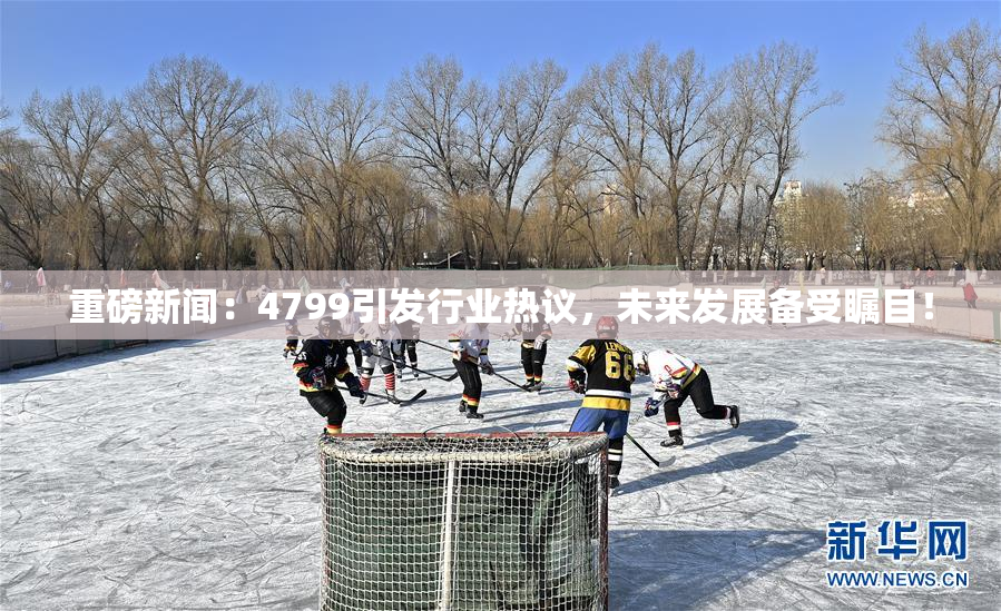 重磅新闻：4799引发行业热议，未来发展备受瞩目！