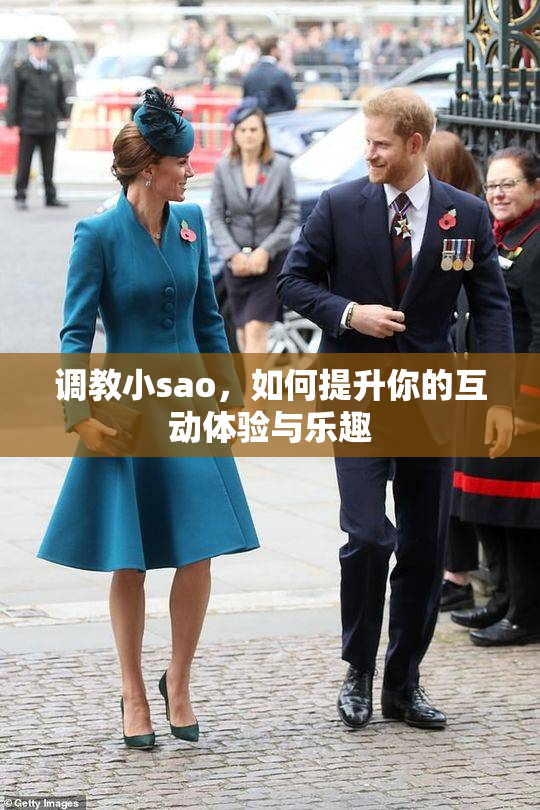调教小sao，如何提升你的互动体验与乐趣