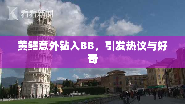 黄鳝意外钻入BB，引发热议与好奇