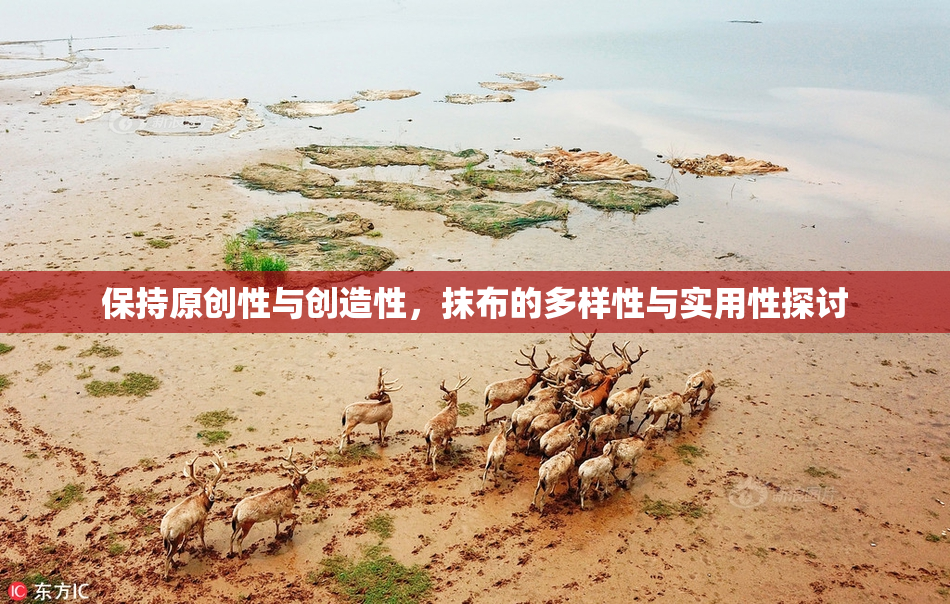 保持原创性与创造性，抹布的多样性与实用性探讨