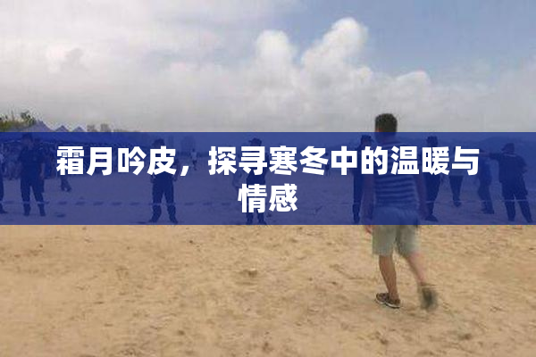 霜月吟皮，探寻寒冬中的温暖与情感