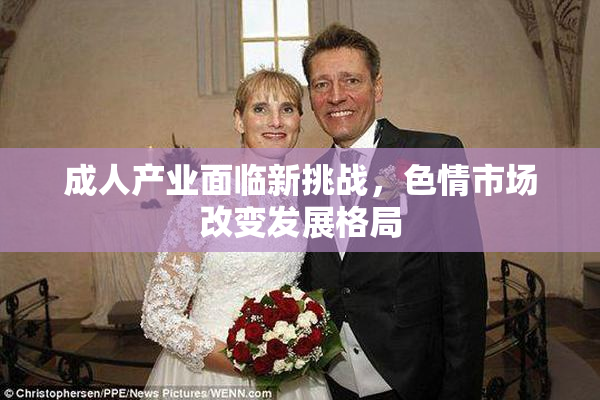 成人产业面临新挑战，色情市场改变发展格局