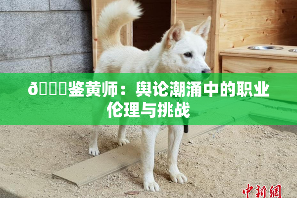 🔞鉴黄师：舆论潮涌中的职业伦理与挑战