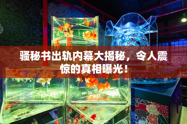 骚秘书出轨内幕大揭秘，令人震惊的真相曝光！