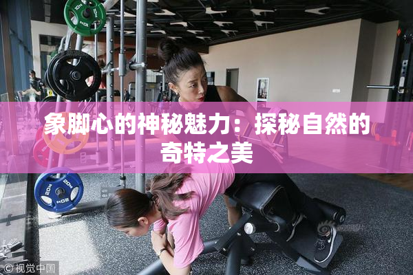 象脚心的神秘魅力：探秘自然的奇特之美