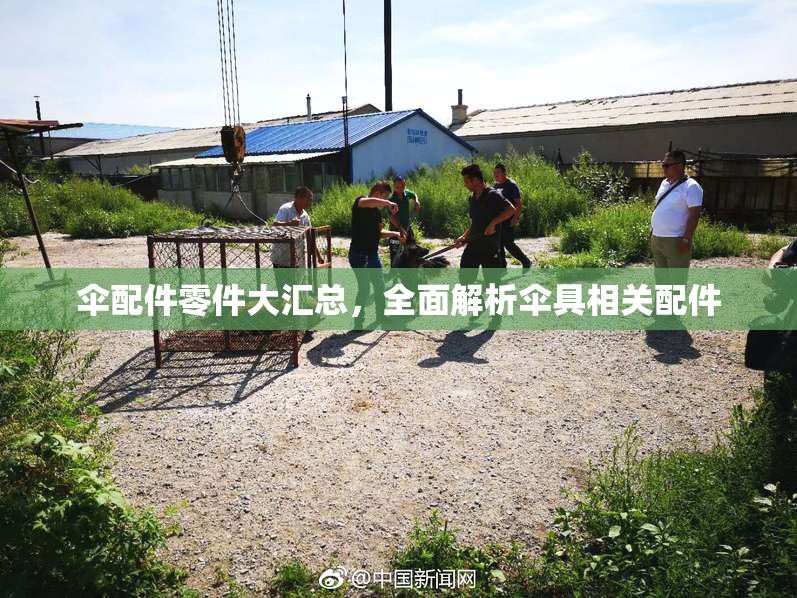 伞配件零件大汇总，全面解析伞具相关配件