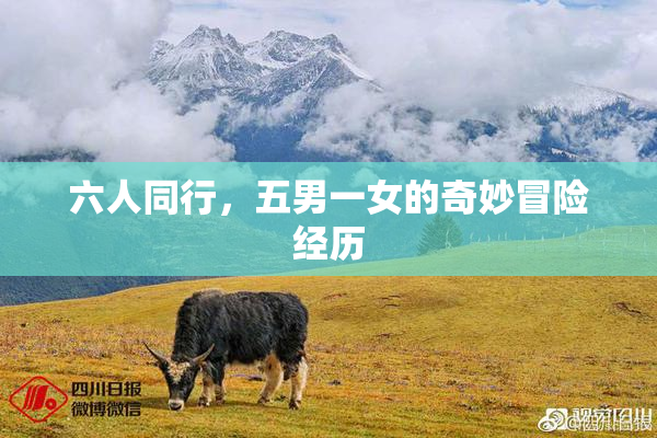 六人同行，五男一女的奇妙冒险经历
