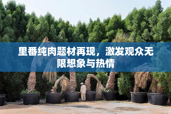 里番纯肉题材再现，激发观众无限想象与热情
