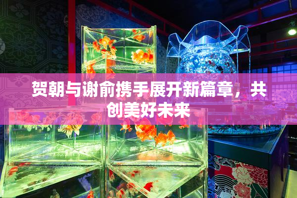 贺朝与谢俞携手展开新篇章，共创美好未来