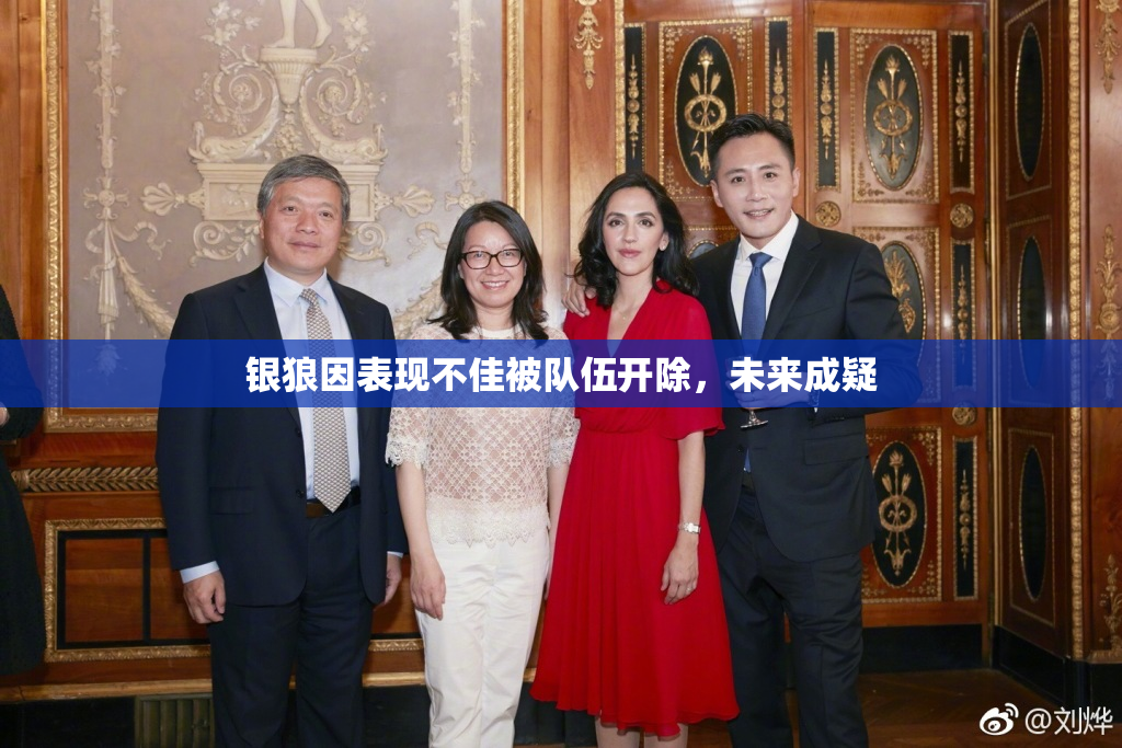 银狼因表现不佳被队伍开除，未来成疑