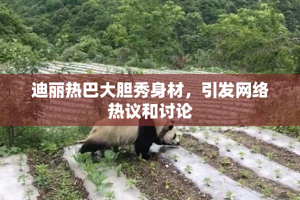 迪丽热巴大胆秀身材，引发网络热议和讨论