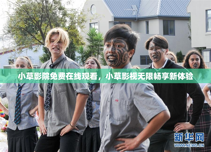 小草影院免费在线观看，小草影视无限畅享新体验