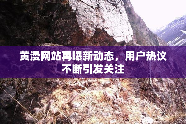 黄漫网站再曝新动态，用户热议不断引发关注