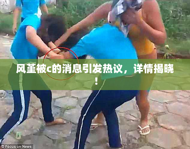 风堇被c的消息引发热议，详情揭晓！