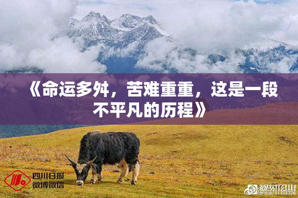 《命运多舛，苦难重重，这是一段不平凡的历程》