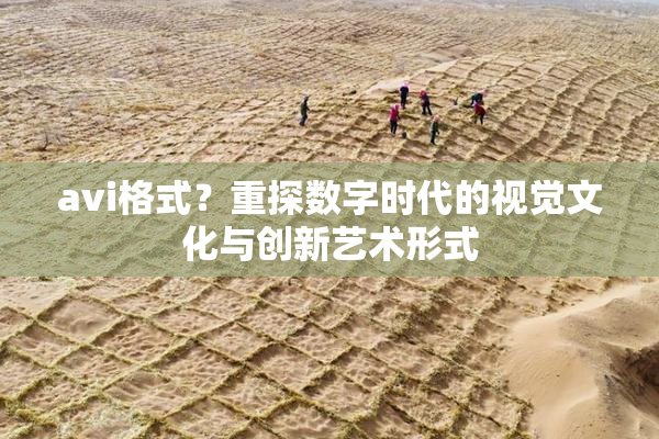 avi格式？重探数字时代的视觉文化与创新艺术形式