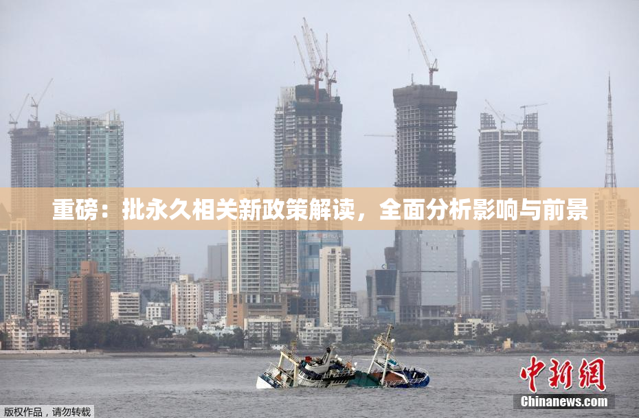 重磅：批永久相关新政策解读，全面分析影响与前景
