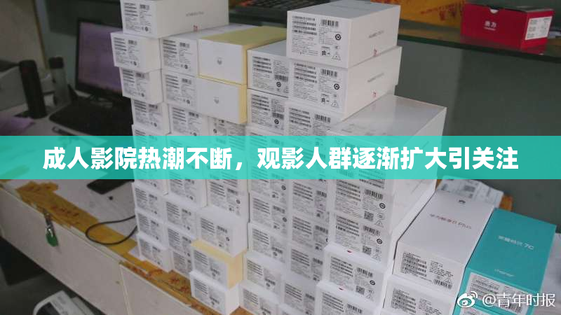 成人影院热潮不断，观影人群逐渐扩大引关注