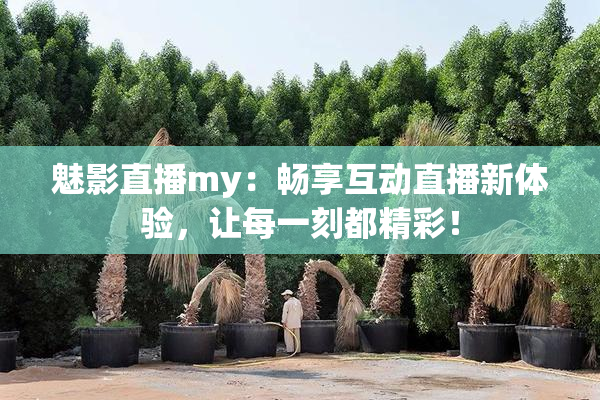 魅影直播my：畅享互动直播新体验，让每一刻都精彩！