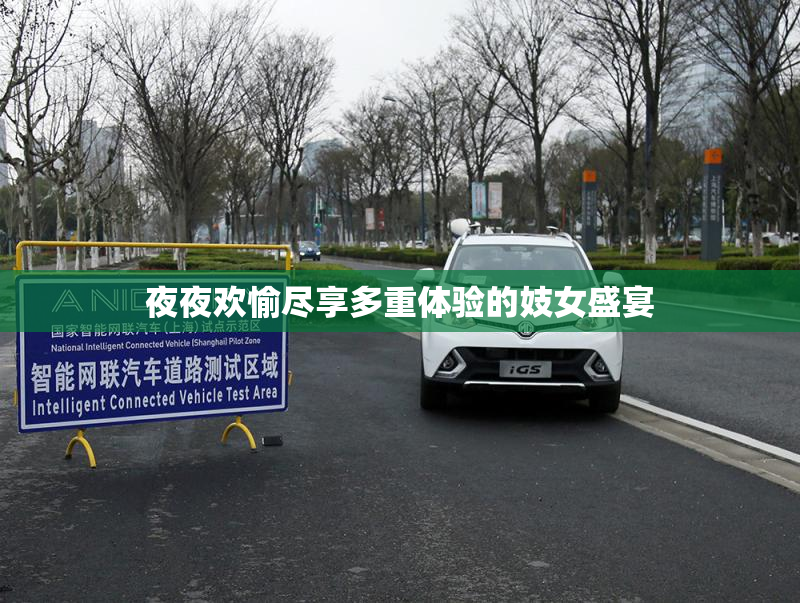 夜夜欢愉尽享多重体验的妓女盛宴