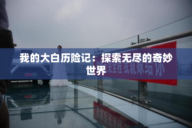 我的大白历险记：探索无尽的奇妙世界