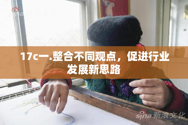 17c一.整合不同观点，促进行业发展新思路