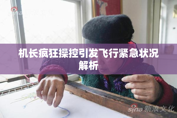 机长疯狂操控引发飞行紧急状况解析