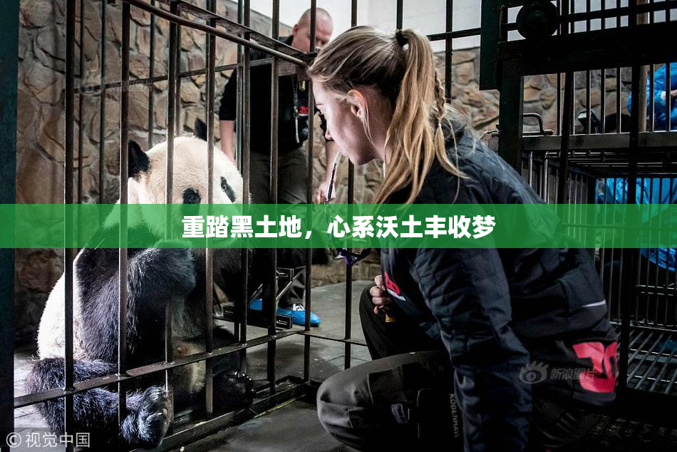 重踏黑土地，心系沃土丰收梦