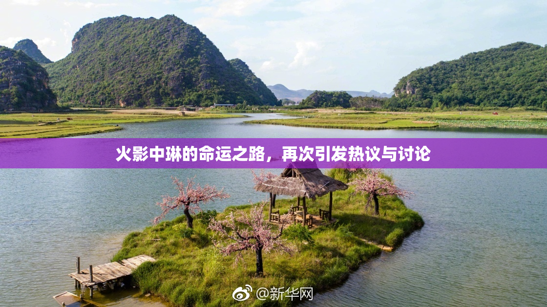 火影中琳的命运之路，再次引发热议与讨论