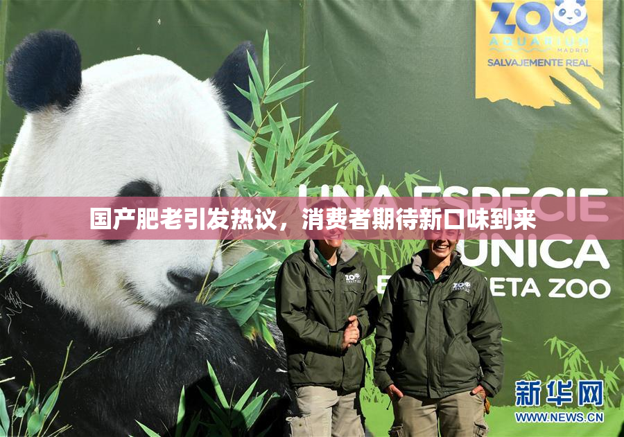 国产肥老引发热议，消费者期待新口味到来