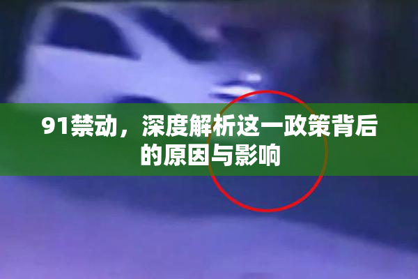 91禁动，深度解析这一政策背后的原因与影响