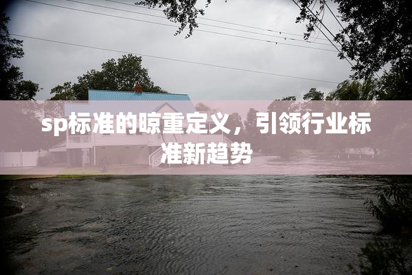 sp标准的晾重定义，引领行业标准新趋势