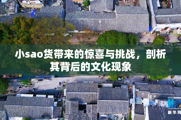小sao货带来的惊喜与挑战，剖析其背后的文化现象