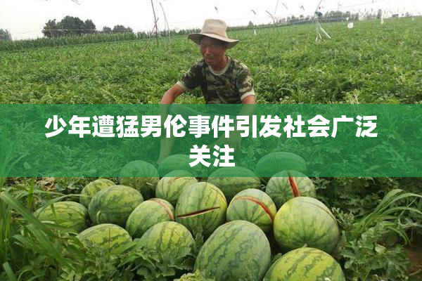 少年遭猛男伦事件引发社会广泛关注