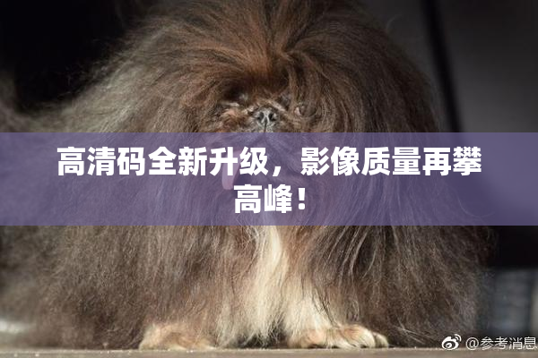 高清码全新升级，影像质量再攀高峰！