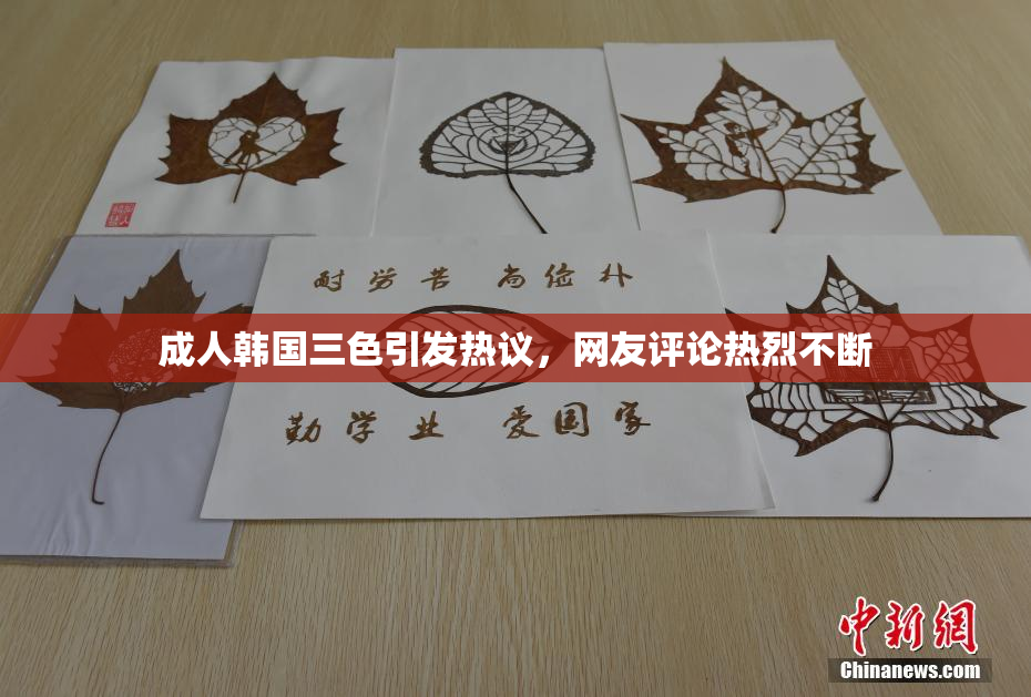 成人韩国三色引发热议，网友评论热烈不断