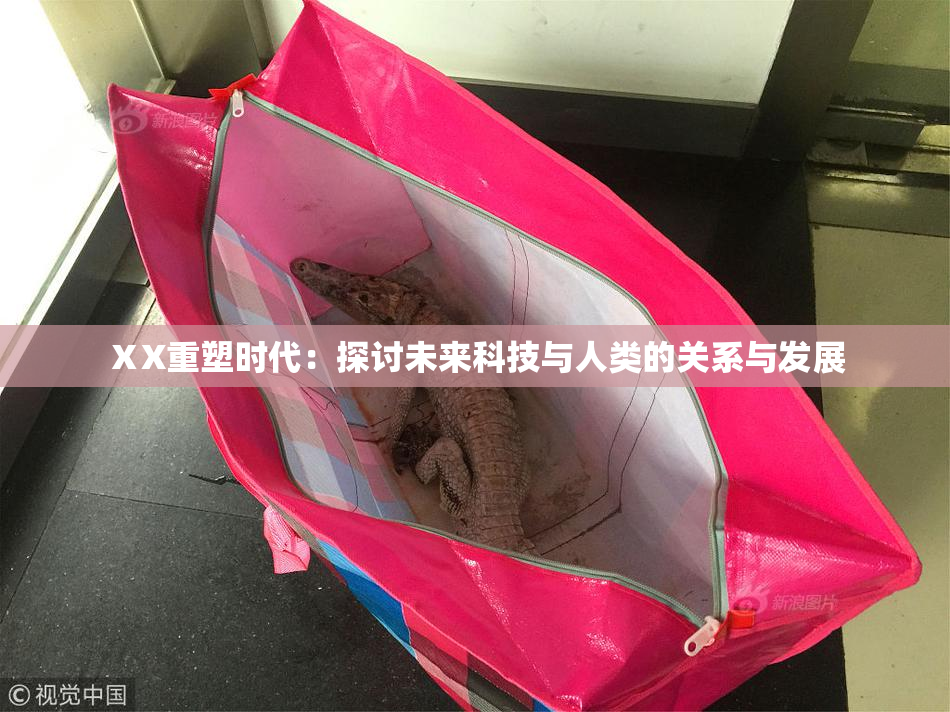 ⅩX重塑时代：探讨未来科技与人类的关系与发展