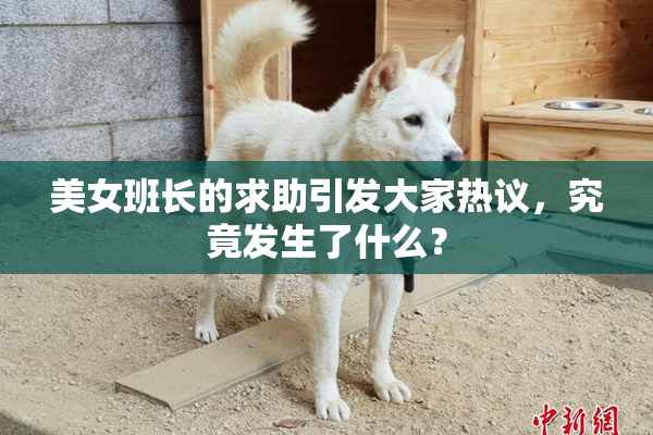 美女班长的求助引发大家热议，究竟发生了什么？