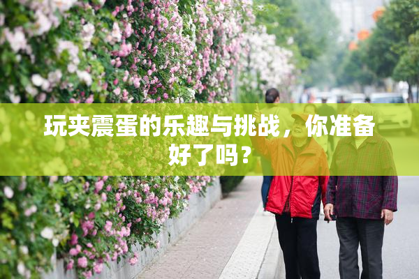 玩夹震蛋的乐趣与挑战，你准备好了吗？