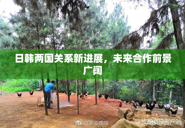 日韩两国关系新进展，未来合作前景广阔