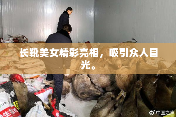 长靴美女精彩亮相，吸引众人目光。