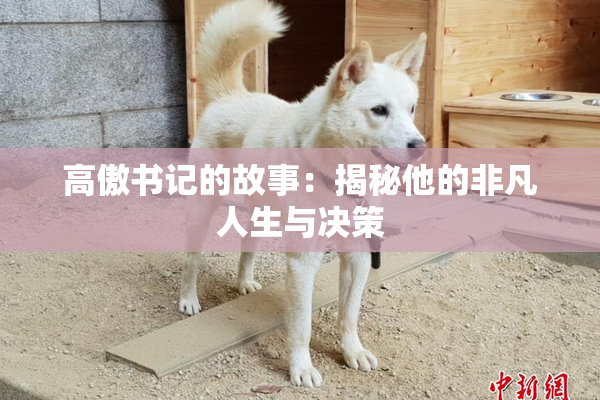 高傲书记的故事：揭秘他的非凡人生与决策