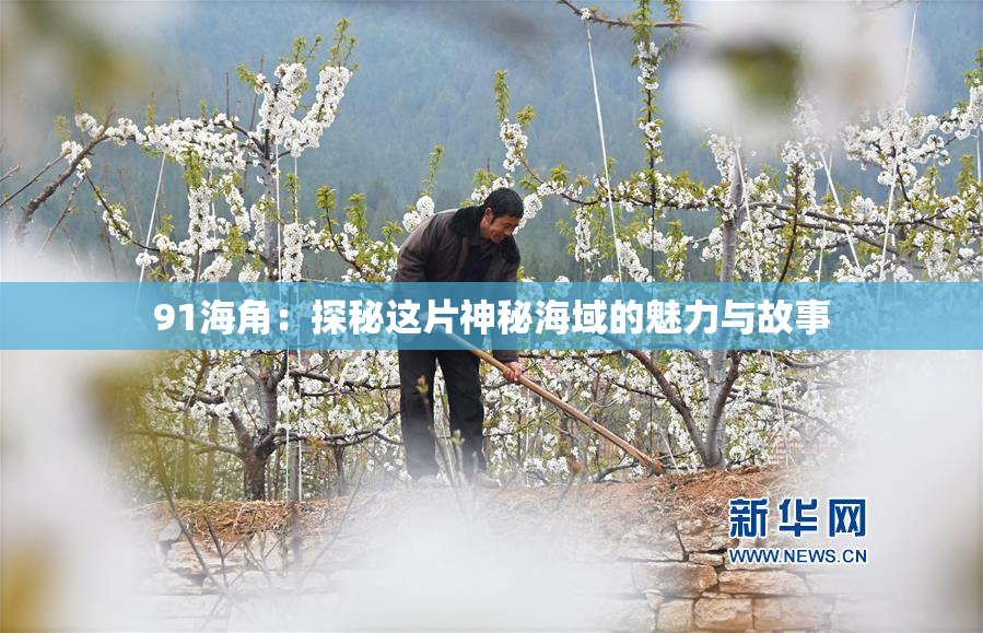 91海角：探秘这片神秘海域的魅力与故事