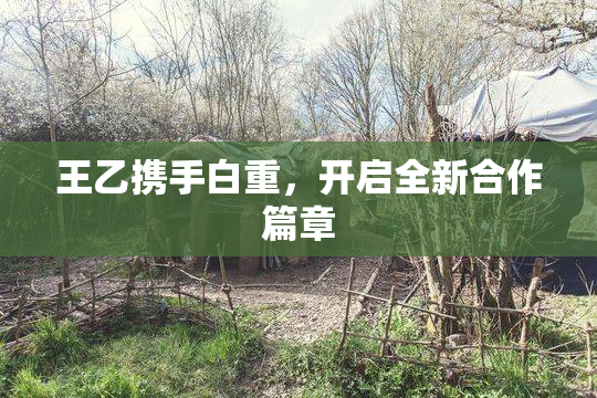 王乙携手白重，开启全新合作篇章