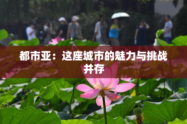 都市亚：这座城市的魅力与挑战并存