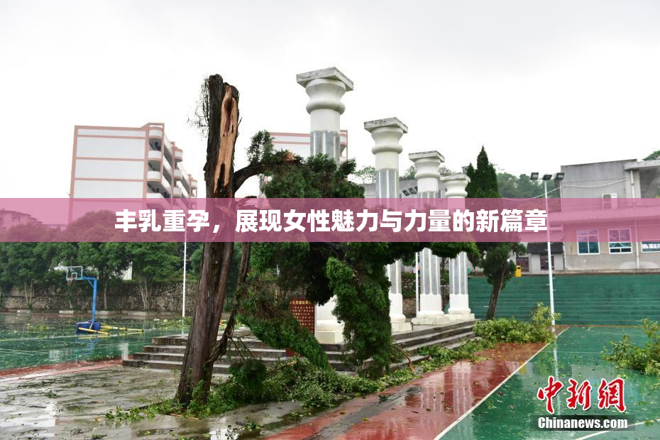 丰乳重孕，展现女性魅力与力量的新篇章