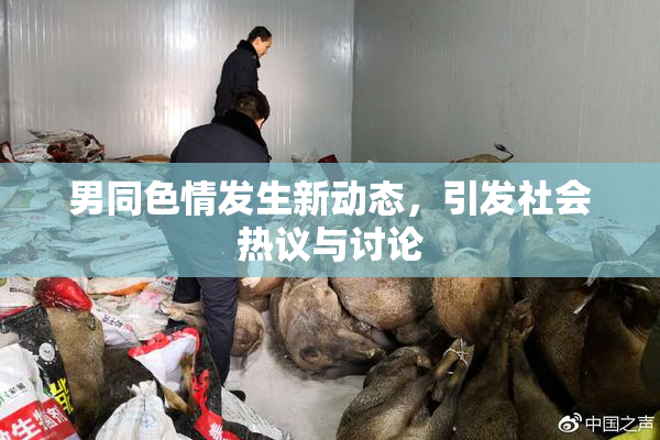 男同色情发生新动态，引发社会热议与讨论