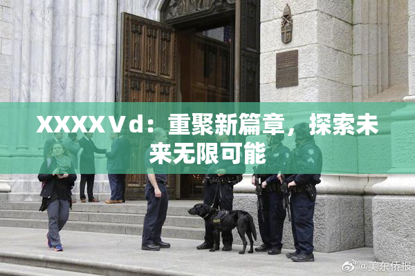 XXXXⅤd：重聚新篇章，探索未来无限可能