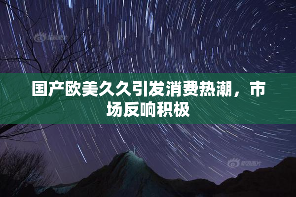 国产欧美久久引发消费热潮，市场反响积极